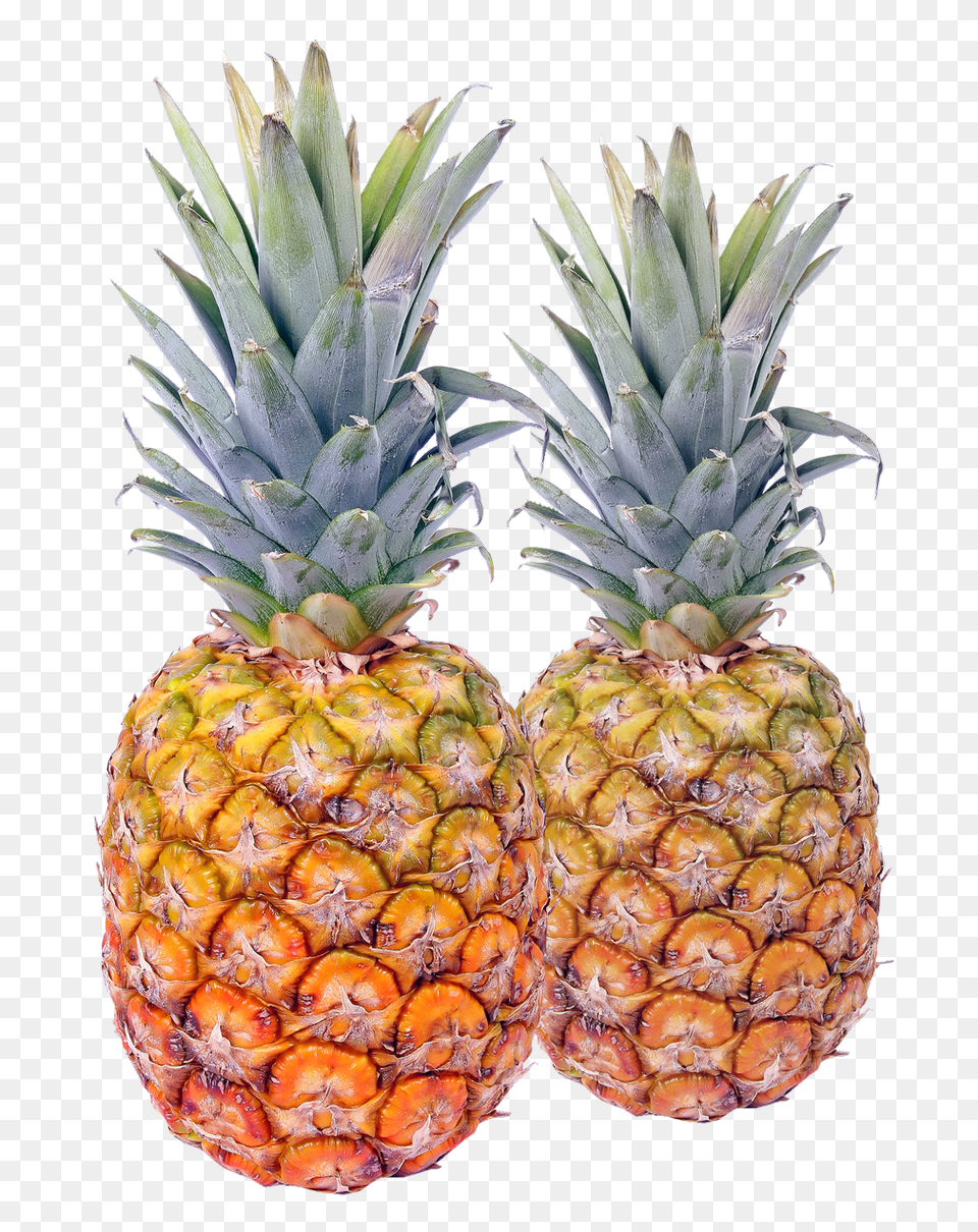 Pineapple Transparent Pngpix Pineapples Transparent, Food, Fruit, Plant, Produce Png Image