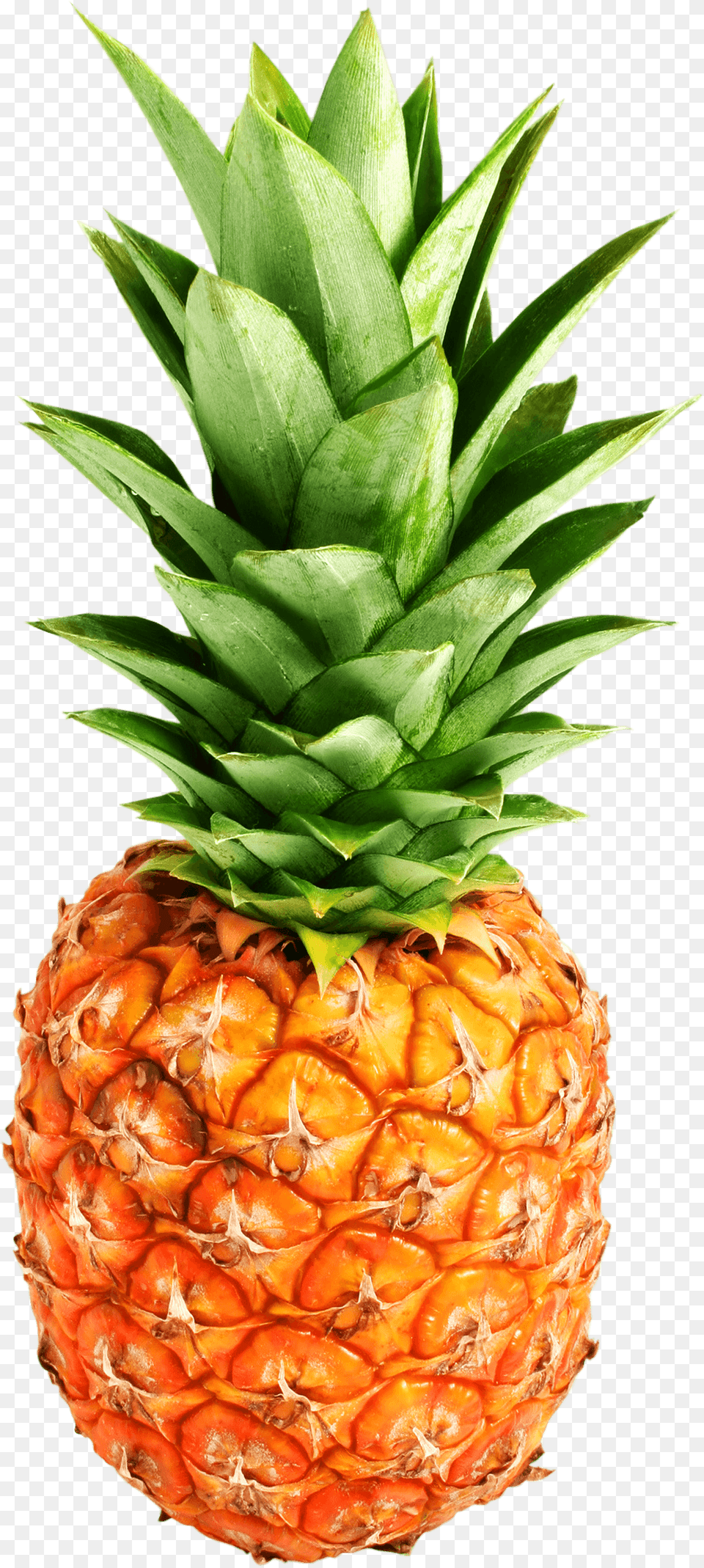 Pineapple Transparent Photo Pineapple, Food, Fruit, Plant, Produce Png Image