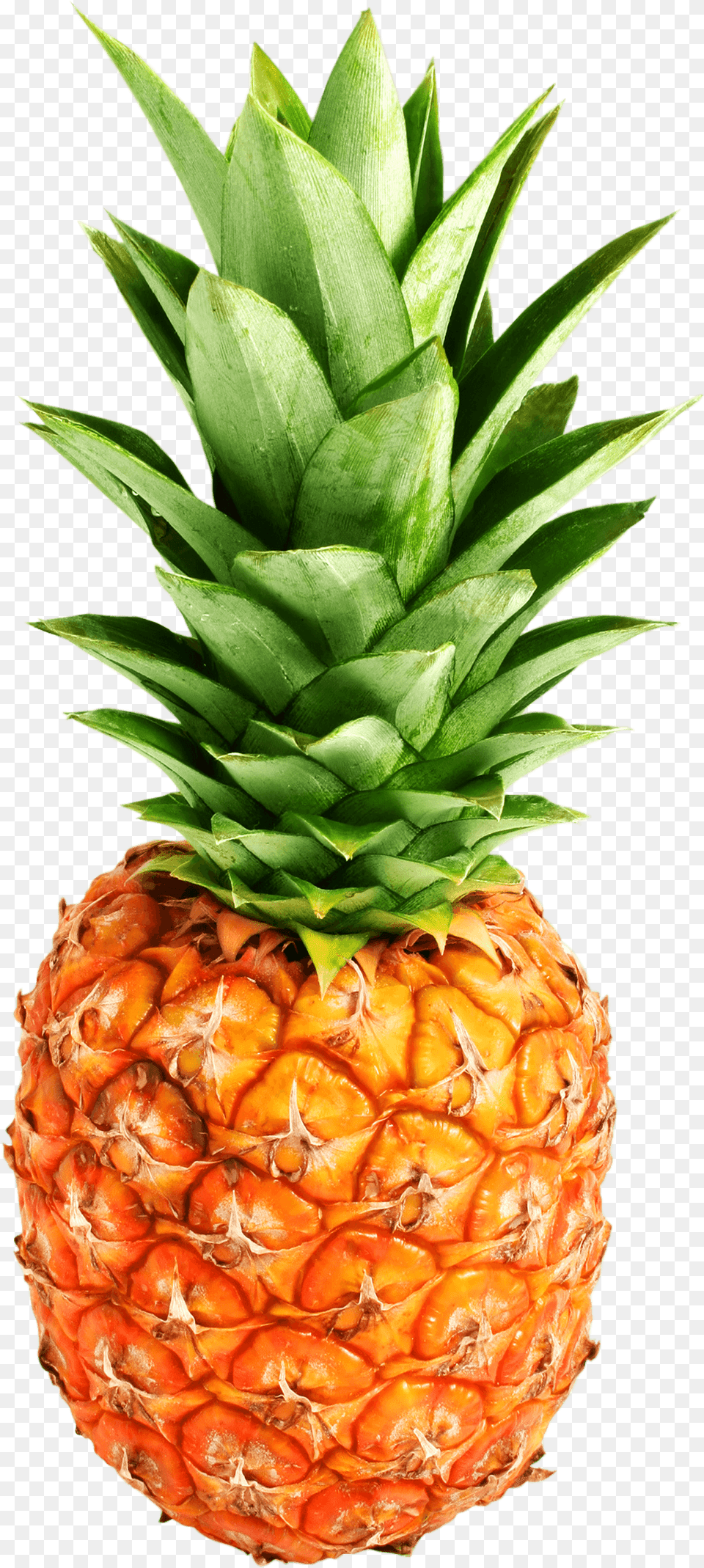 Pineapple Photo Pineapple Background, Food, Fruit, Plant, Produce Free Transparent Png