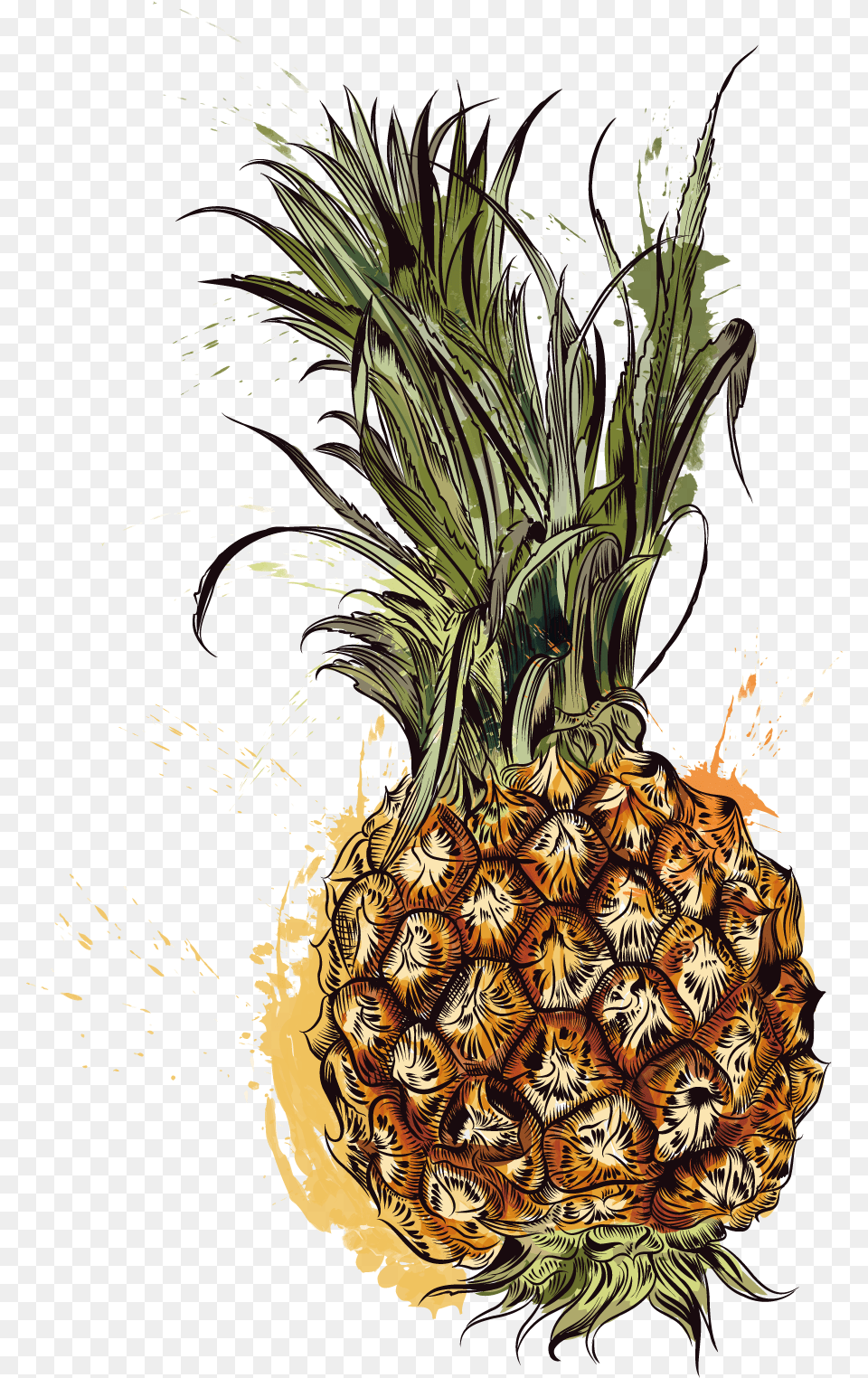 Pineapple Tropic Fruits Vector Graphics, Food, Fruit, Plant, Produce Free Transparent Png