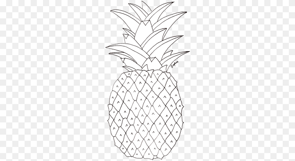 Pineapple Tumbl Pineapple Tumblr Zoefrances Pineapple Pictures To Colour, Food, Fruit, Plant, Produce Free Transparent Png