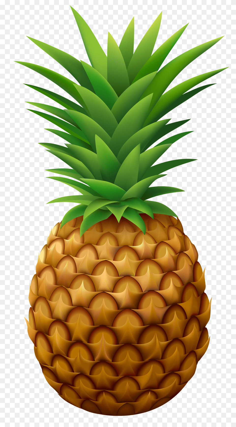 Pineapple Vector Clipart, Food, Fruit, Plant, Produce Png