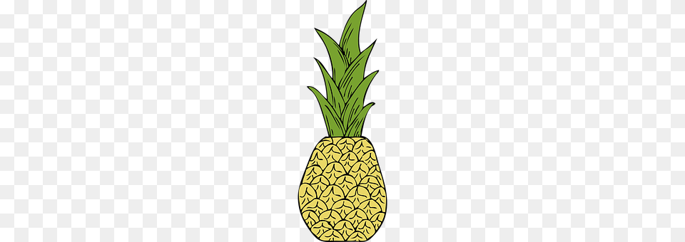 Pineapples Food, Fruit, Pineapple, Plant Free Png Download