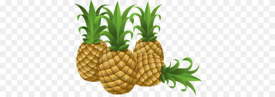 Pineapples Food, Fruit, Pineapple, Plant Free Png Download