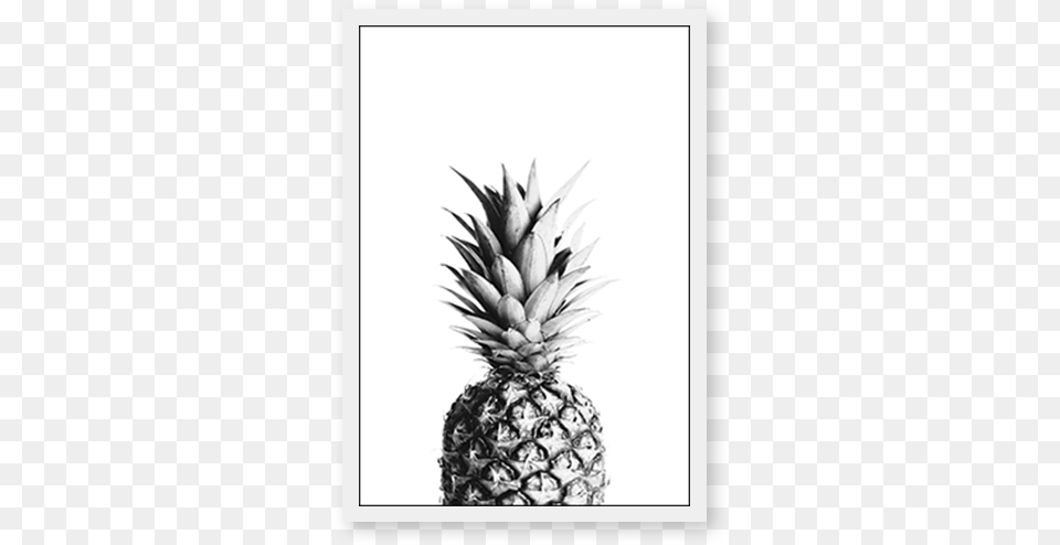 Pineapples Black And White, Food, Fruit, Pineapple, Plant Png