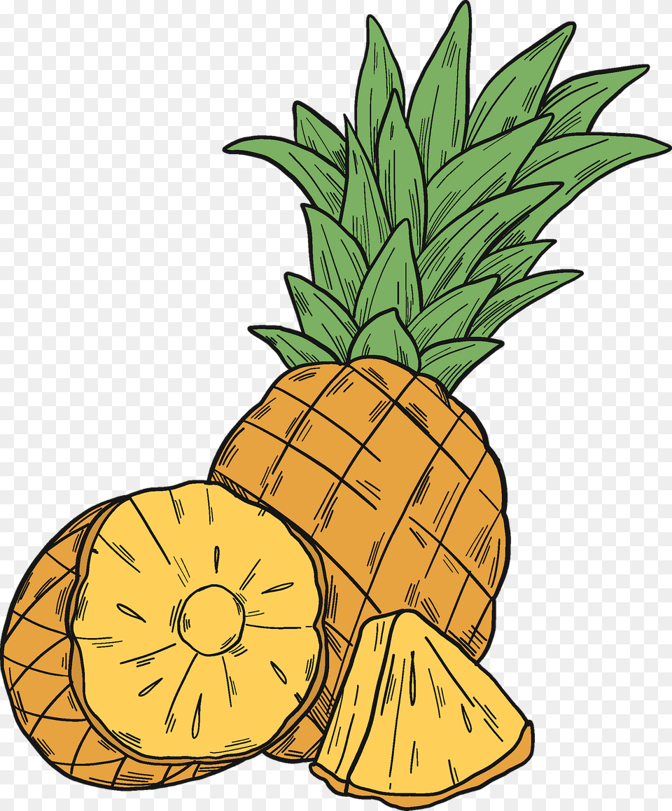 Pineapples Clipart, Food, Fruit, Pineapple, Plant Png Image