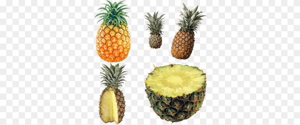 Pineapples Transparent Images Stickpng Image, Food, Fruit, Pineapple, Plant Free Png Download