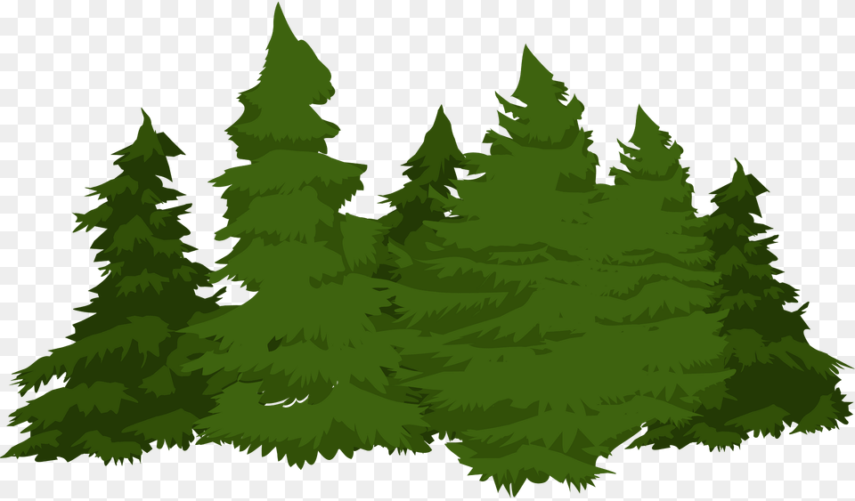Pinecluster Clipart, Conifer, Fir, Green, Pine Free Png