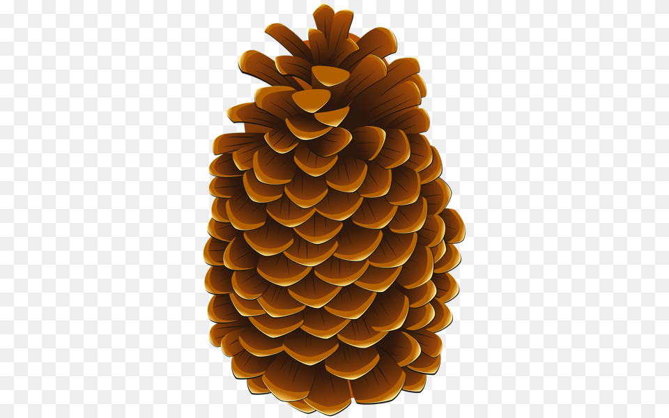Pinecone Clip Art Image Conifer Cone, Plant, Tree, Larch, Dynamite Png