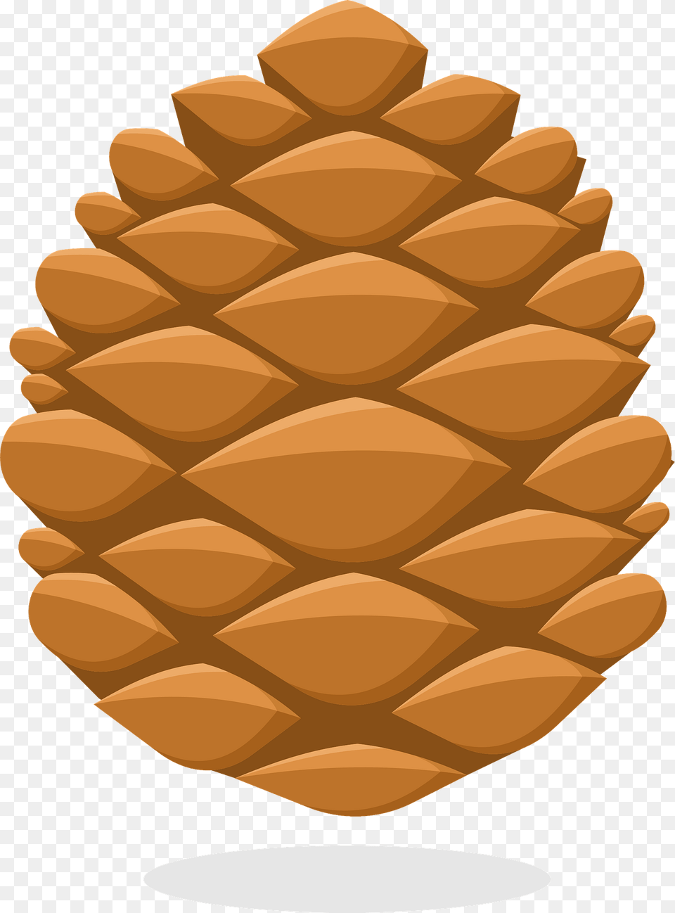 Pinecone Clipart, Conifer, Tree, Plant, Larch Free Png Download