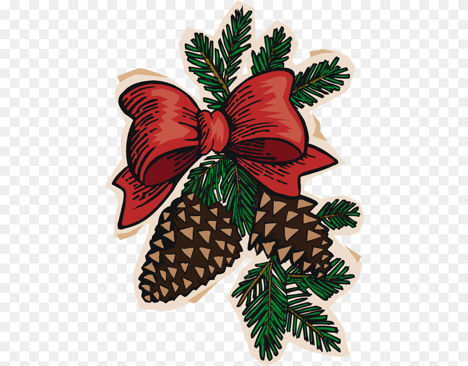 Pinecone Clipart Longleaf Pine Christmas Pine Cone Clipart, Conifer, Plant, Tree, Baby Free Png Download