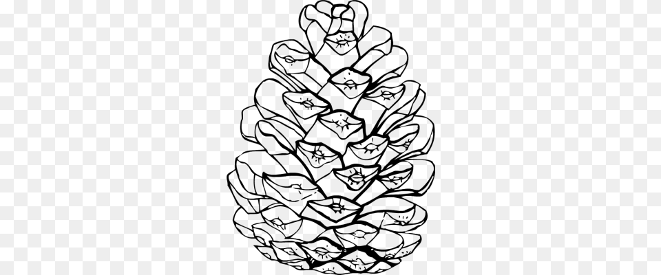 Pinecone Colouring Pages Digital Art Clip Art Scrabook, Gray Free Png