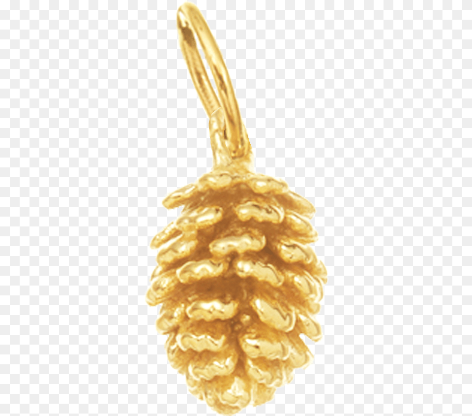 Pinecone For Calm Solid, Accessories, Earring, Jewelry, Gold Free Png