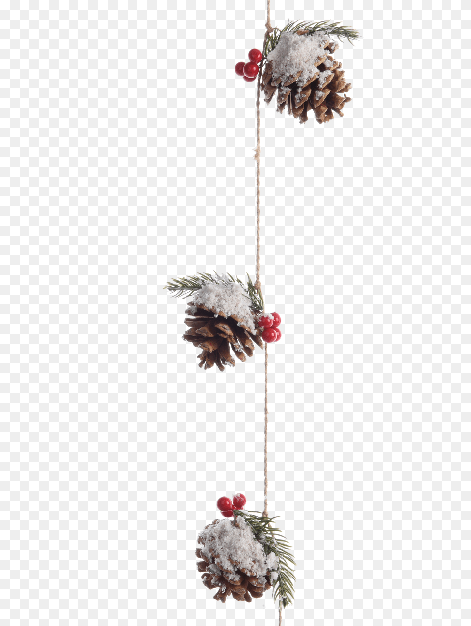 Pinecone Garland With Berries And Snow Rothenburg Ob Der Tauber, Accessories, Plant, Tree, Animal Free Png