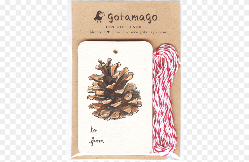 Pinecone Gift Tags Set Of Gift, Plant, Tree Png