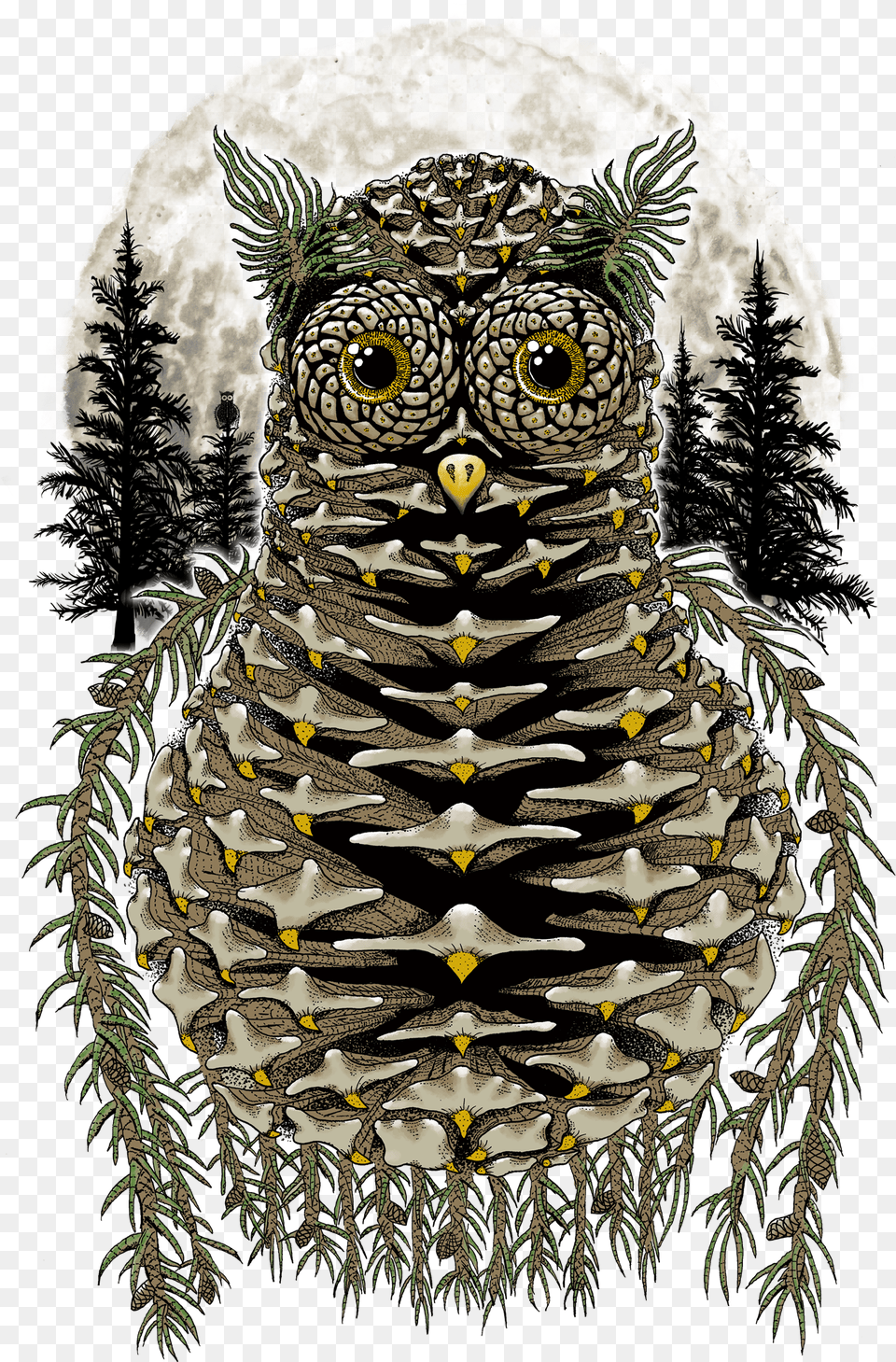 Pinecone Owl Green, Plant, Tree, Animal, Bird Free Transparent Png