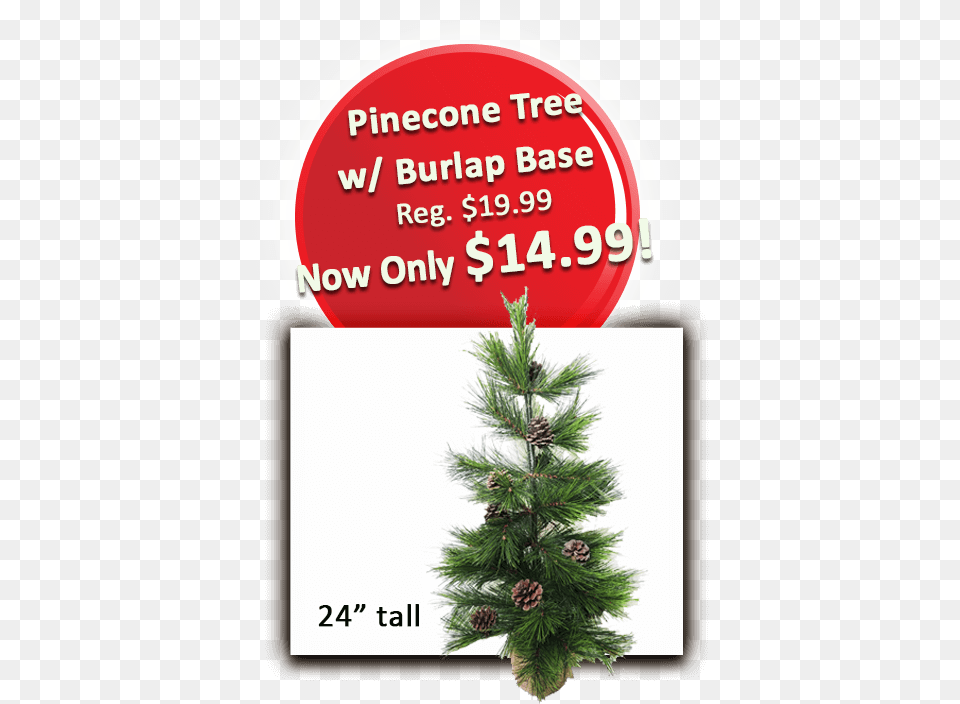 Pinecone Tree W Burlap Base Christmas Tree, Pine, Plant, Conifer, Fir Png