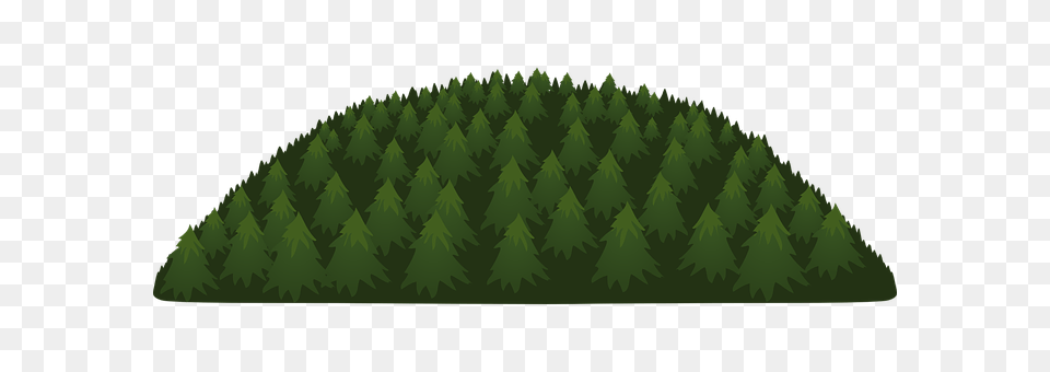 Pines Vegetation, Grass, Green, Tree Free Png Download