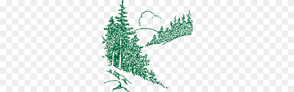 Pines Clip Art, Vegetation, Tree, Fir, Plant Png Image