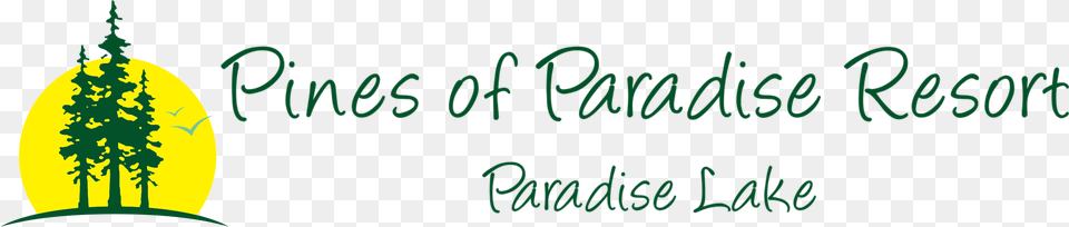 Pines Of Paradise Resort Is Open May October Starting, Green, Outdoors, Blackboard, Nature Png