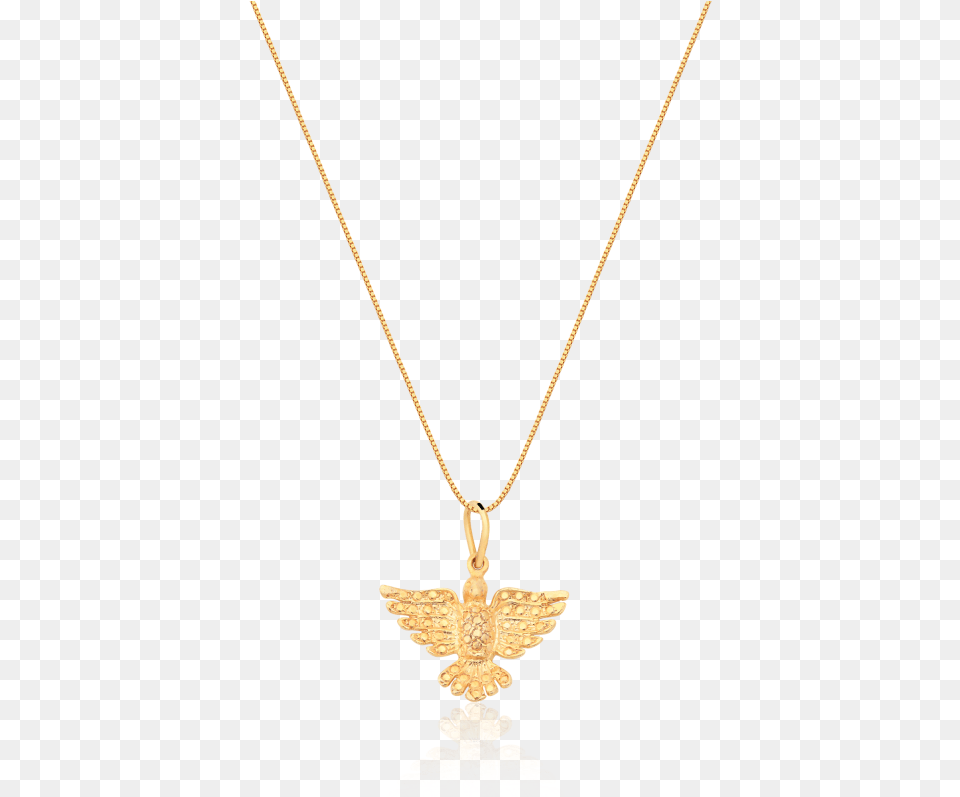 Pingente Da Pomba Do Esprito Santo Disc Necklace Gold, Accessories, Jewelry, Pendant Free Png