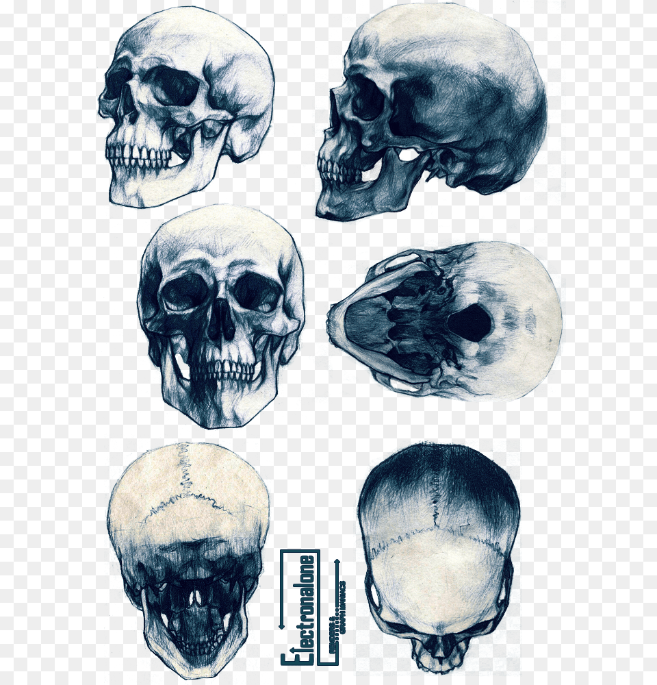 Pingl Par Annabel Lorence Sur Art Art Art U Anatomically Correct Skull Tattoo, Ct Scan, Face, Person, Head Free Transparent Png