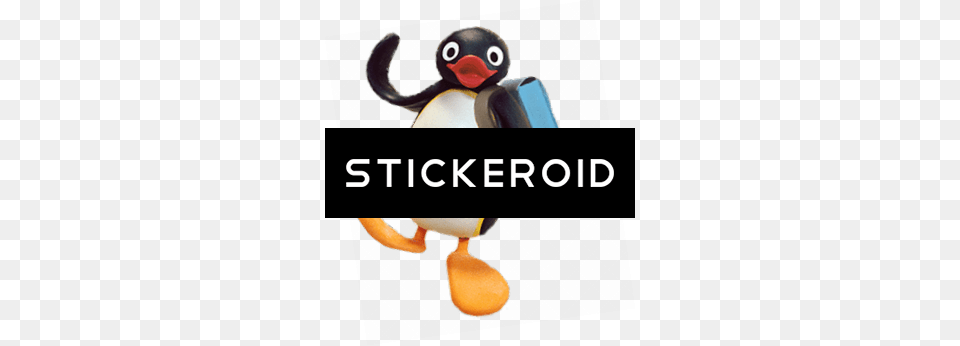 Pingu, Animal, Bird Png