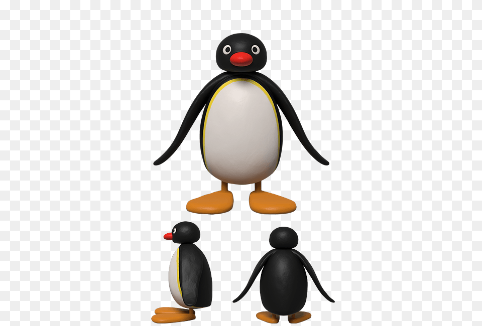 Pingu, Animal, Bird, Penguin, King Penguin Png