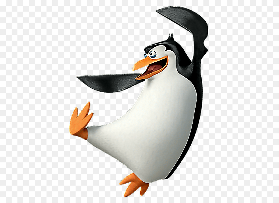 Pingu, Animal, Bird, Penguin Png