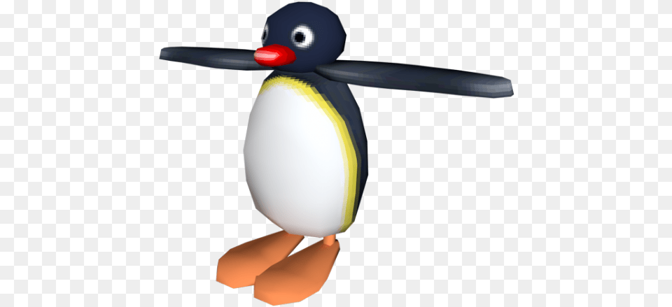 Pingu, Animal, Bird, Penguin, Beak Free Png