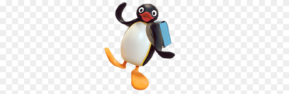 Pingu Going To School, Animal, Bird, Penguin Png Image