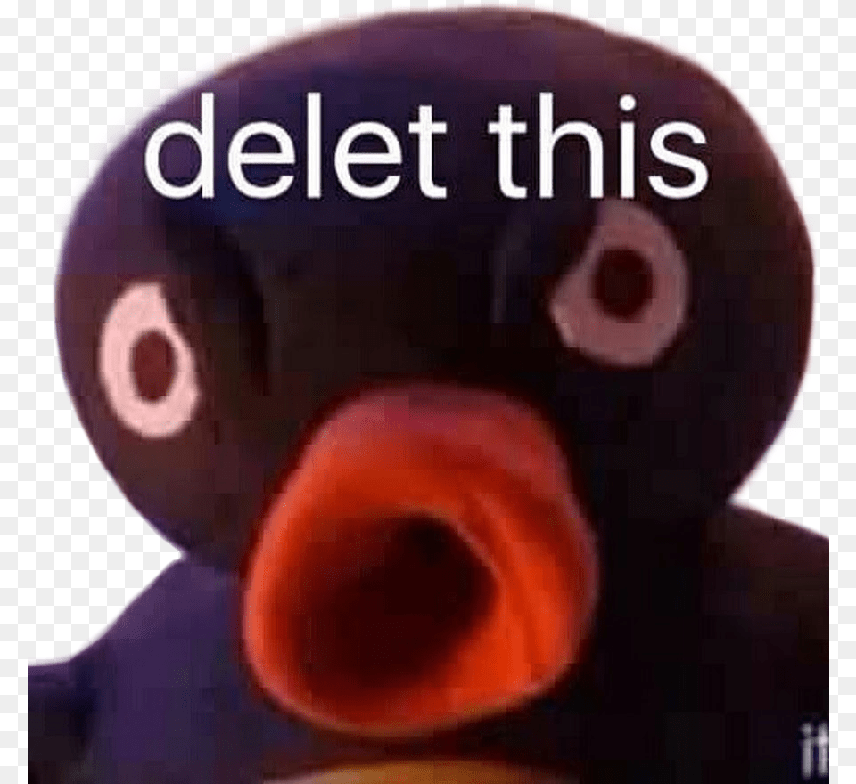 Pingu Meme Delete Delet Deletthis Deletethis Delete This Meme, Animal, Beak, Bird, Baby Free Png Download