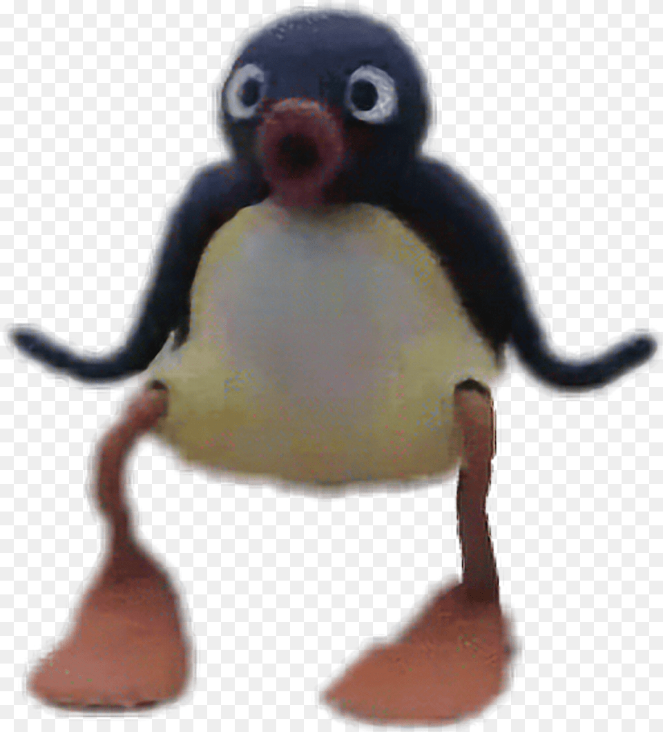 Pingu Noot Noot Download Pingu, Animal, Bird, Person, Bear Free Transparent Png