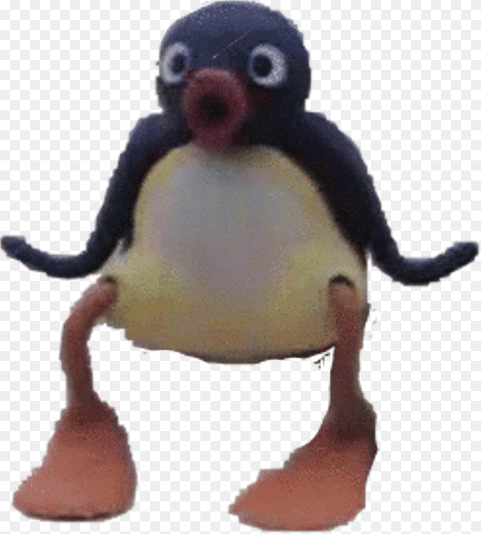 Pingu Sticker Adlie Penguin, Animal, Baby, Person, Bird Free Transparent Png