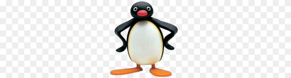 Pingu Waiting, Animal, Bird, Penguin Png