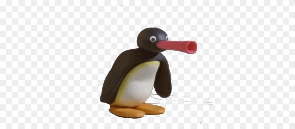 Pingu Wallpapers Posted Noot Noot Discord Emoji, Animal, Bird, Beak Png