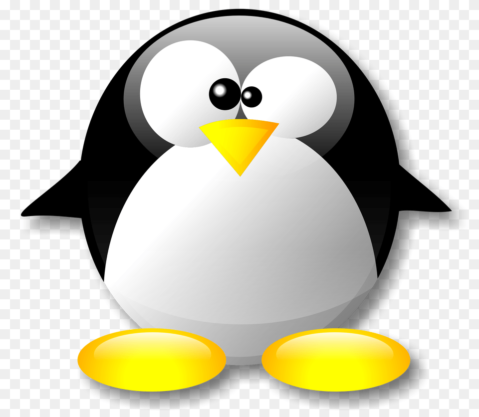 Pinguim Crystal, Animal, Bird, Penguin, Nature Png Image