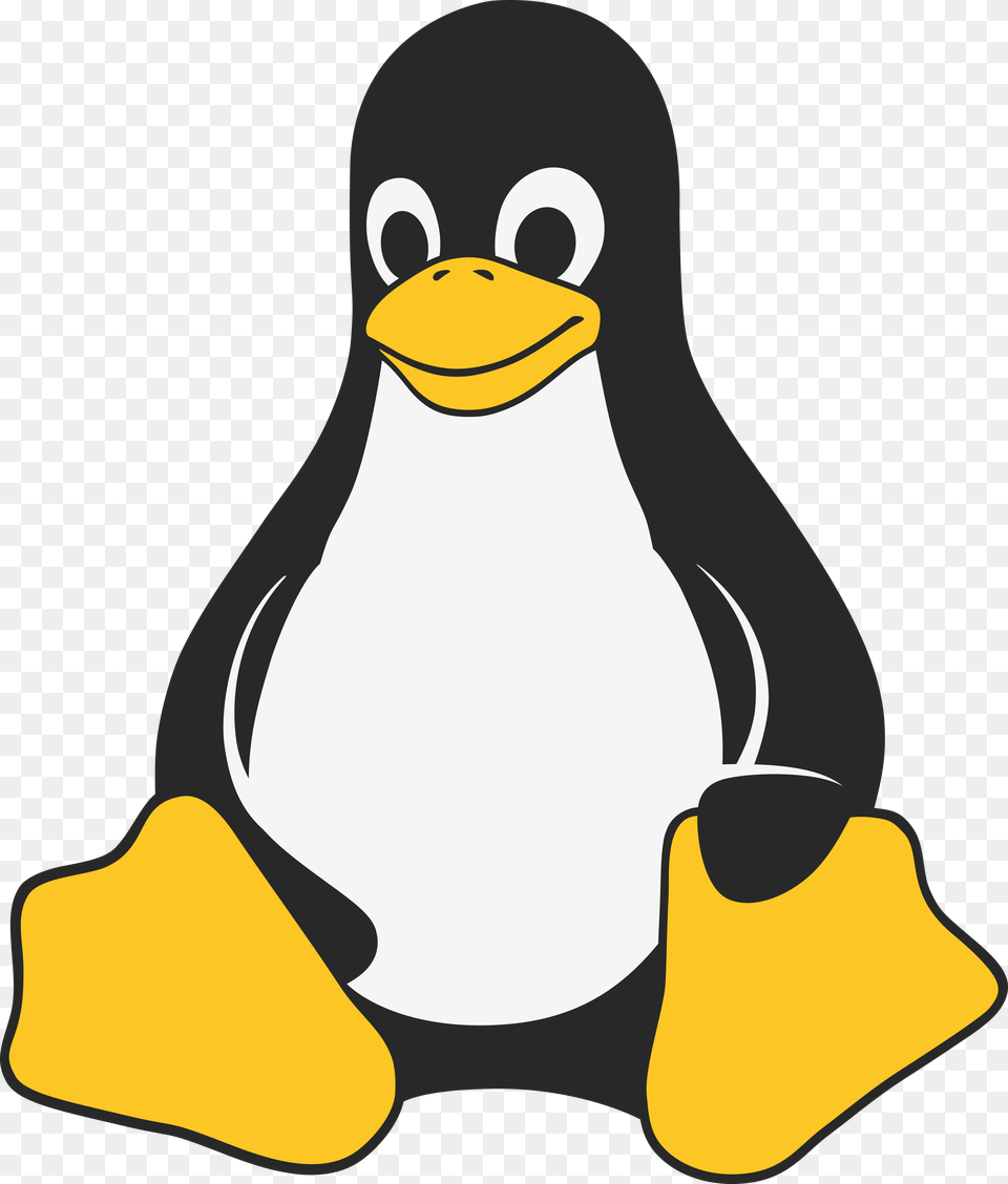 Pinguim Download Linux Penguin, Animal, Bird, Beak Free Transparent Png