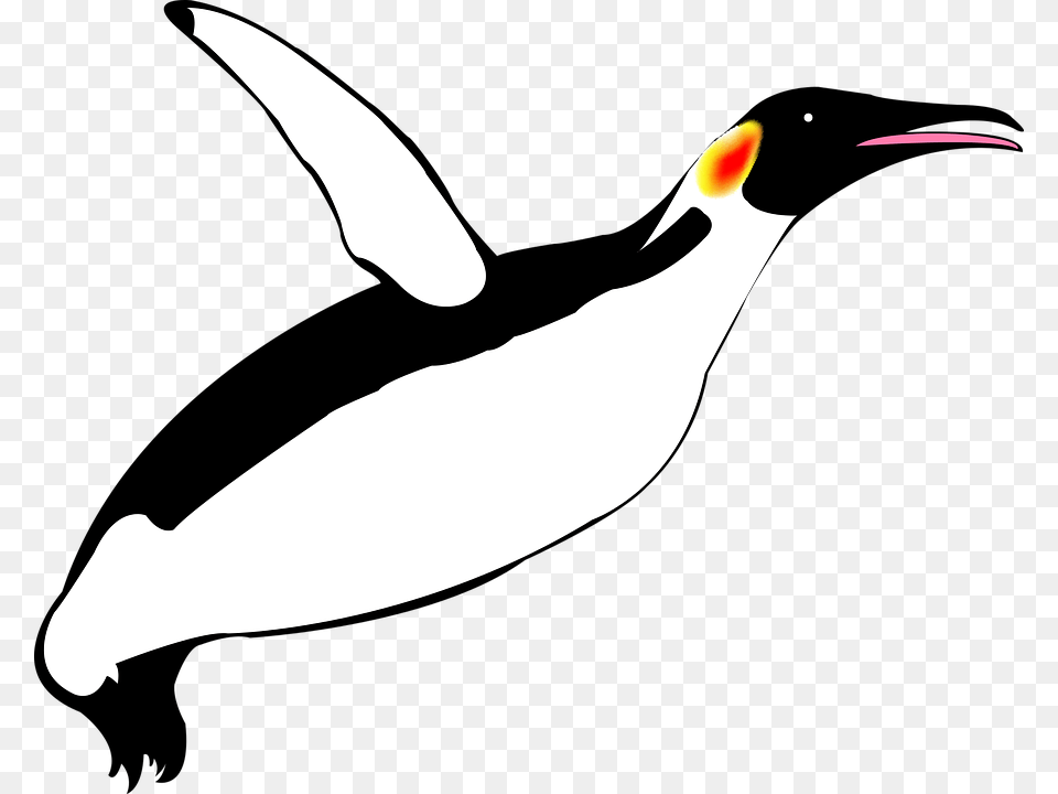 Pinguim Voador Pinguim Pinguins Penguin Flying Clip Art, Animal, Bird, Person Free Png