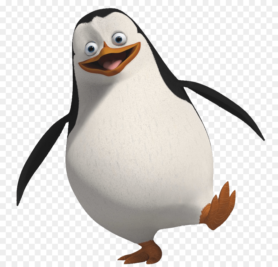 Pinguin, Animal, Bird, Penguin Free Png