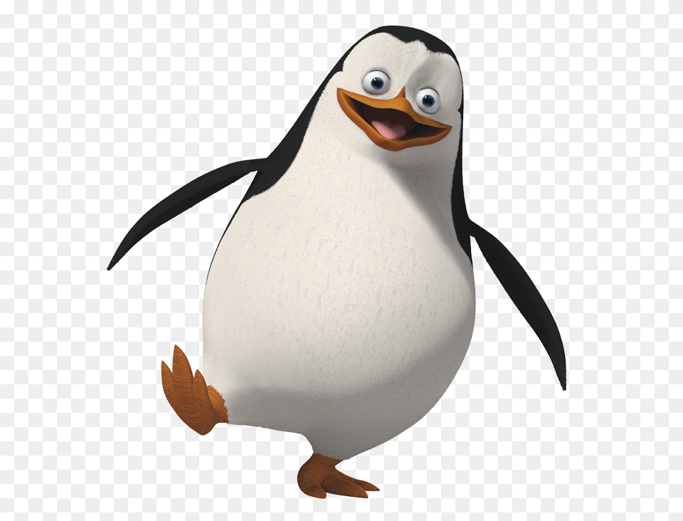 Pinguin, Animal, Bird, Penguin Png Image