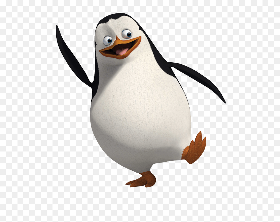 Pinguin, Animal, Bird, Penguin Free Png Download