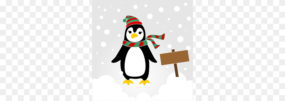 Pinguin Winter, Nature, Outdoors, Animal Free Transparent Png