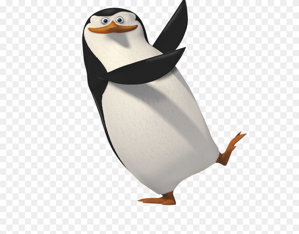 Pinguin, Animal, Bird, Penguin Free Transparent Png