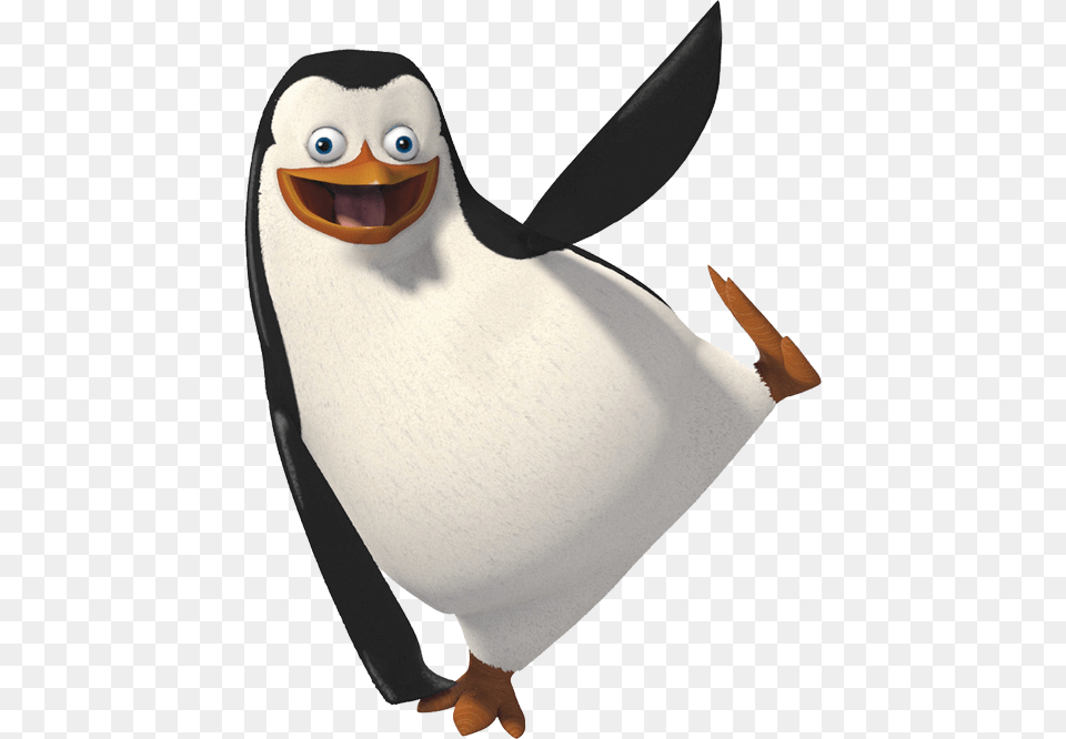 Pinguin, Animal, Bird, Penguin Free Png