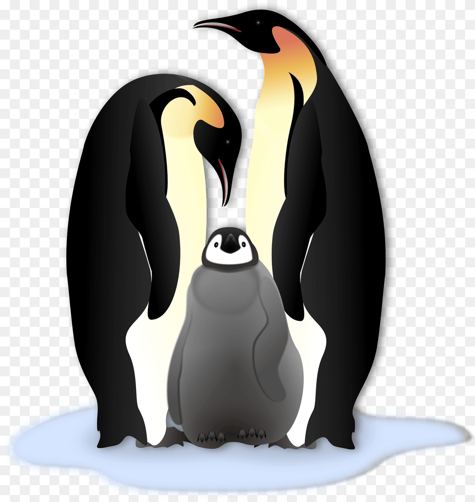 Pinguin Familie Clipart, Animal, Bird, King Penguin, Penguin Png Image