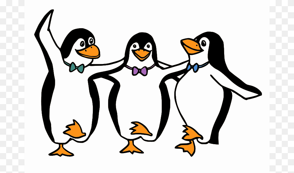 Pinguinehorizontal, Animal, Bird, Penguin Free Png Download