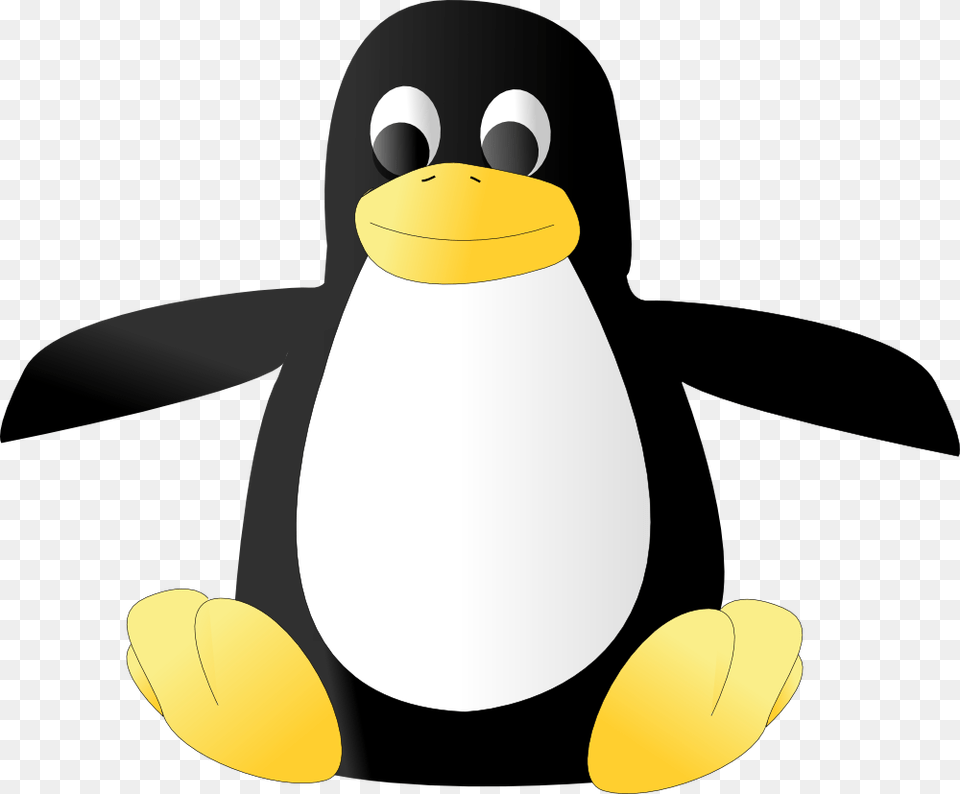 Pinguino Linux 6 Image Linux No Background, Animal, Bird, Penguin, Nature Png