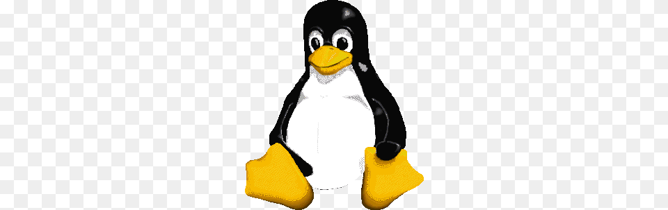 Pingus, Baby, Person, Animal, Bird Free Transparent Png