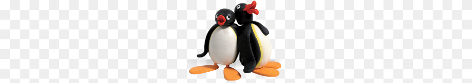 Pingus English Login, Animal, Bird, Penguin Free Transparent Png